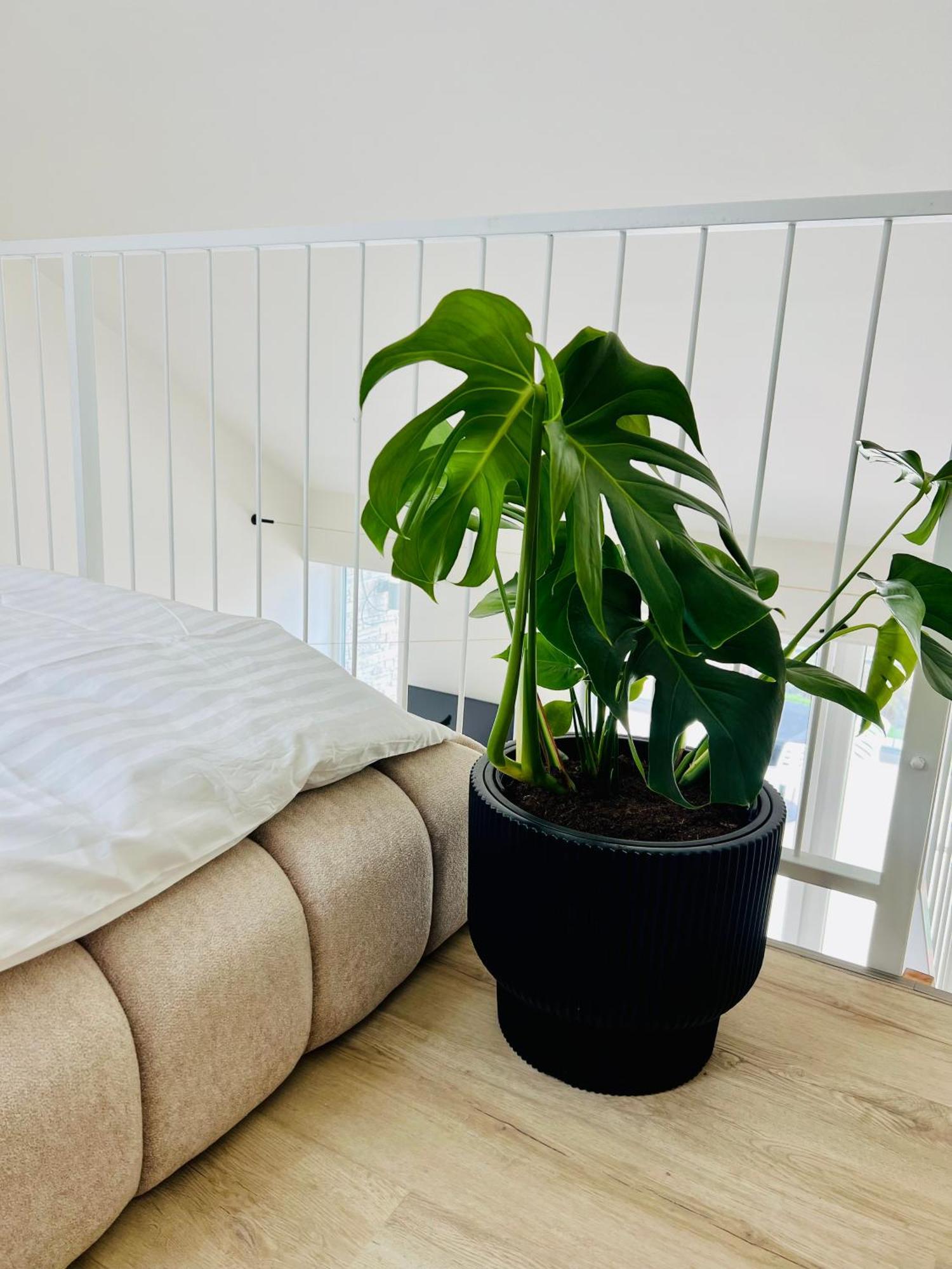 Palavske Apartmany Original Pavlov Bagian luar foto